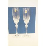 6 boxed frosted glass champagne flutes