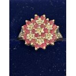 9ct Gold cluster ring set with rubies & diamonds W