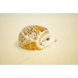 Royal crown derby Hawthorn hedgehog with gold stop