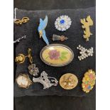 Collection of pin brooches