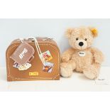 Steiff teddy bear Fynn with original labels & suit