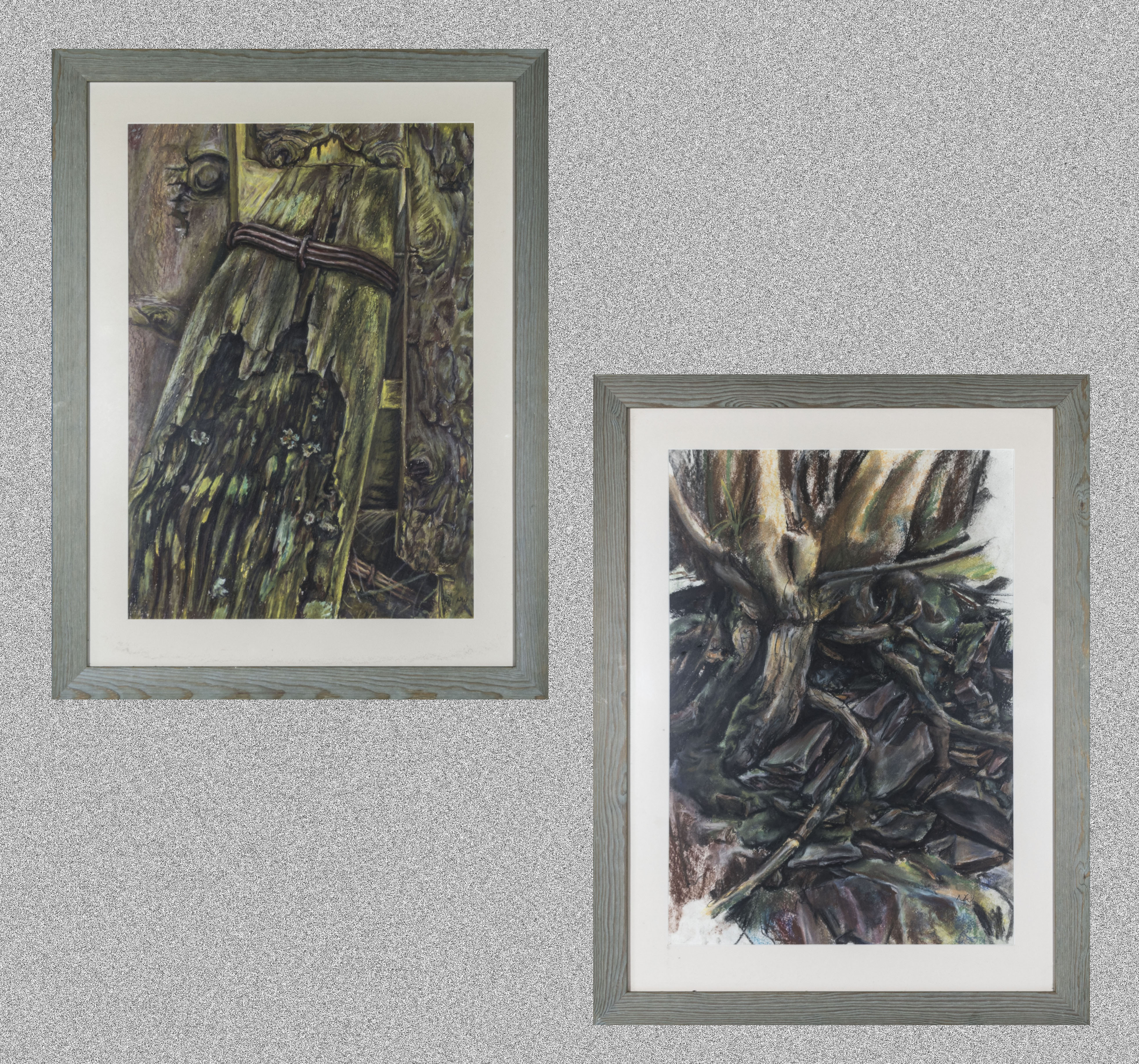 A pair of framed large watercolours depicting trees, signed N.W. 57cm x 40cm