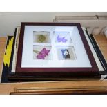 A collection of framed prints