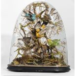 Victorian six taxidermy birds with foliage under a glass dome