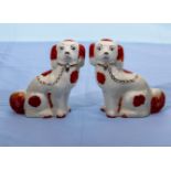 A pair of wally dogs