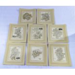Eight framed maps of English counties