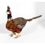 A model of a pheasant