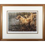 A framed limited edition print, 45cm x 55cm #211/850 titled Golden Retriever