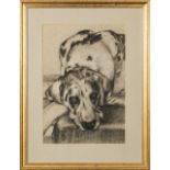 A framed charcoal of a dog signed WB 87. 33cm x 23cm