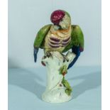 A 19th century German porcelain parrot 28cm tall