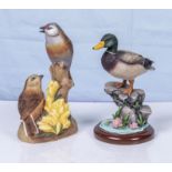 Royal Worcester linnets and a Border Fine Arts mallard