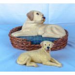 Two pottery Labradors