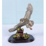 Country Artists owl in flight