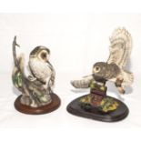 A Tawny Owl on a tree stump together with Country Artists owl in flight