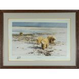 David Shepherd large framed print of polar bears