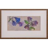 Joanna Carlile - small water colour entitled Wild Flowers, signed, label verso, image size 15cm x