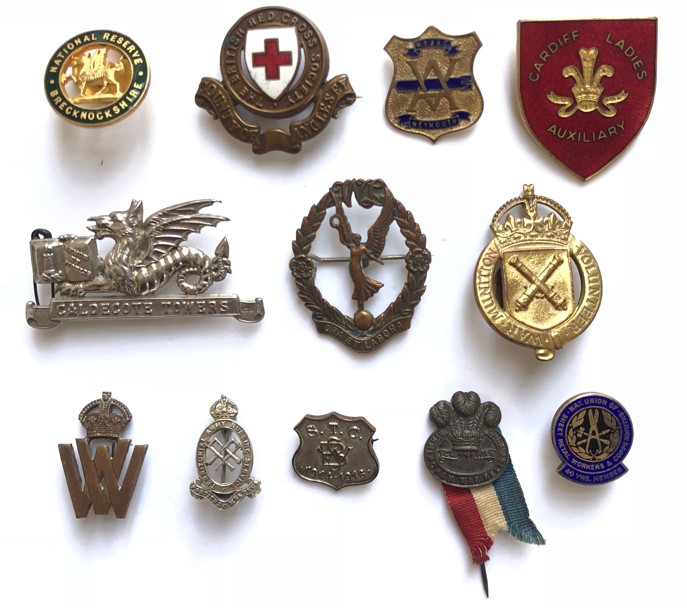 12 WW1 Home Front Lapel Badges etc Including Welsh Interest. Including: National Reserve