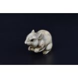 A Japanese Meiji period carved ivory netsuke modelled as a rat, naturalistically carved with fine