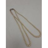 A twin-row pearl necklace with a 9ct white gold clasp Location: