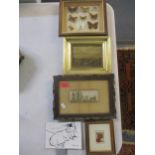 Pictures to include a framed and glazed stevenograph embroidery of a horse and carriage, and a small