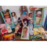 A quantity of vintage dolls to include two boxed Lisa Wonder dolls, a Playmates doll, a Pippin