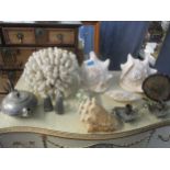 A mixed lot to include white coral, various shells, an agate polished slice clock, pewter ware and