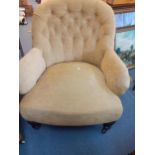 An early 20th century low armchair with mahogany legs on castors having a gold coloured chenille