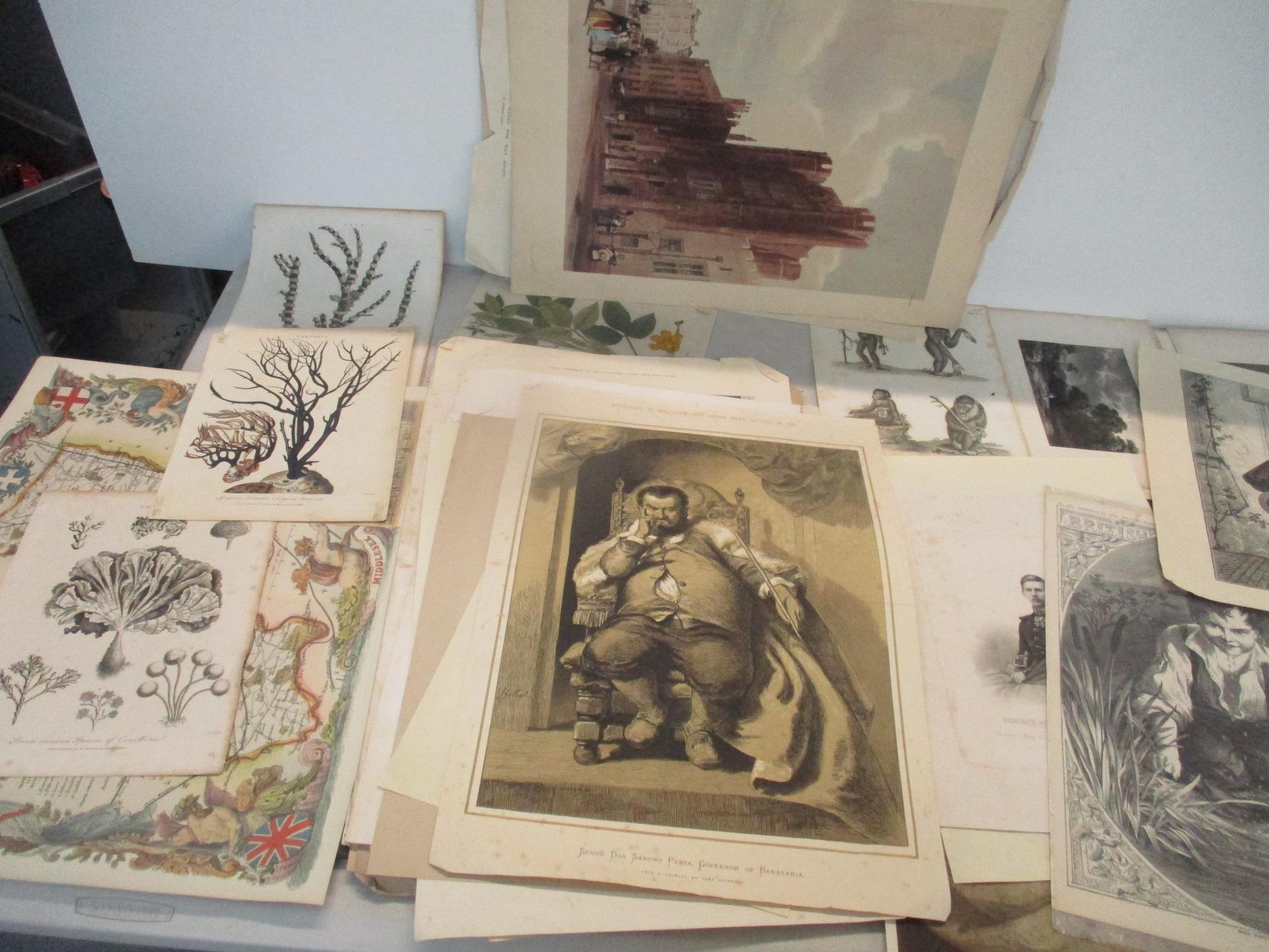 A mixed lot to include a folio of mixed pictures to include coloured book plates, Victorian - Image 4 of 4