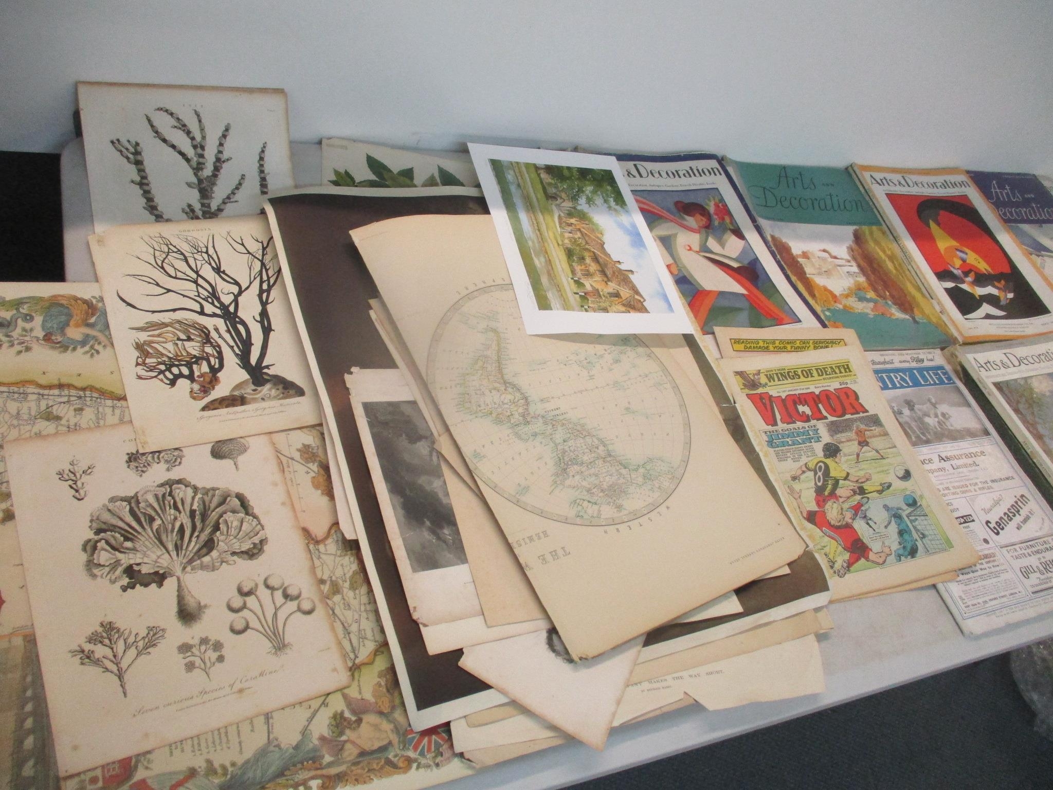 A mixed lot to include a folio of mixed pictures to include coloured book plates, Victorian