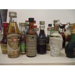 A large collection of 63 miscellaneous miniatures to include whisky and spirits