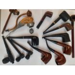A collection of pipes to include a Talisman, a real Briar Shorty, a Savinelli and carved examples,