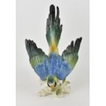 A large Karl Ens (1802-1865) glazed porcelain macaw parrot, in a deep leaning position resting