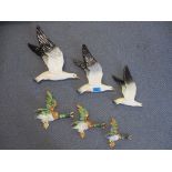 A set of three Beswick wall hanging bird plaques in the form of seagulls, model 922-1/3, and a set