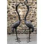 A large pair of 20th century patinated bronze models of cranes, each in same position looking up,