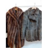 A vintage grey chinchilla fur jacket 36" chest x 27" long together with a vintage brown musquash