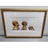 Johns - Three studies of Dachshunds limited edition prints signed framed and glazed Location: