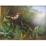 J Thomas (1868) - Bird study with woodland flora in a landscape scene with a cottage to the