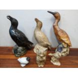 John Bordeaux model birds to include three larger examples, two smaller and a cat Location: