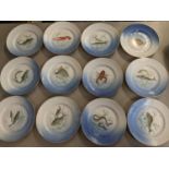 A set of twelve Copenhagen plates depicting aquatic animals, numbered 326 to the undersides