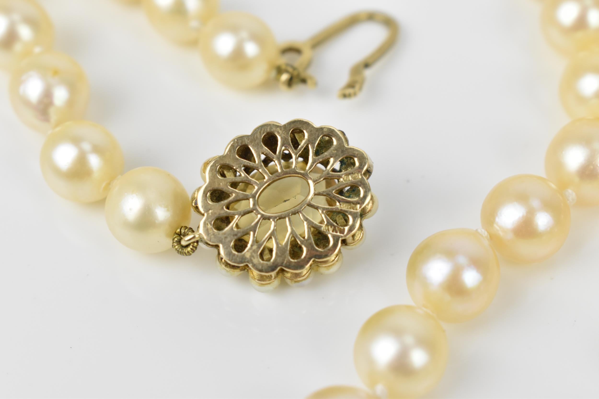 A single strand of cultured white pearls, with 9ct yellow gold, seed pearl and oval cut citrine - Image 3 of 6