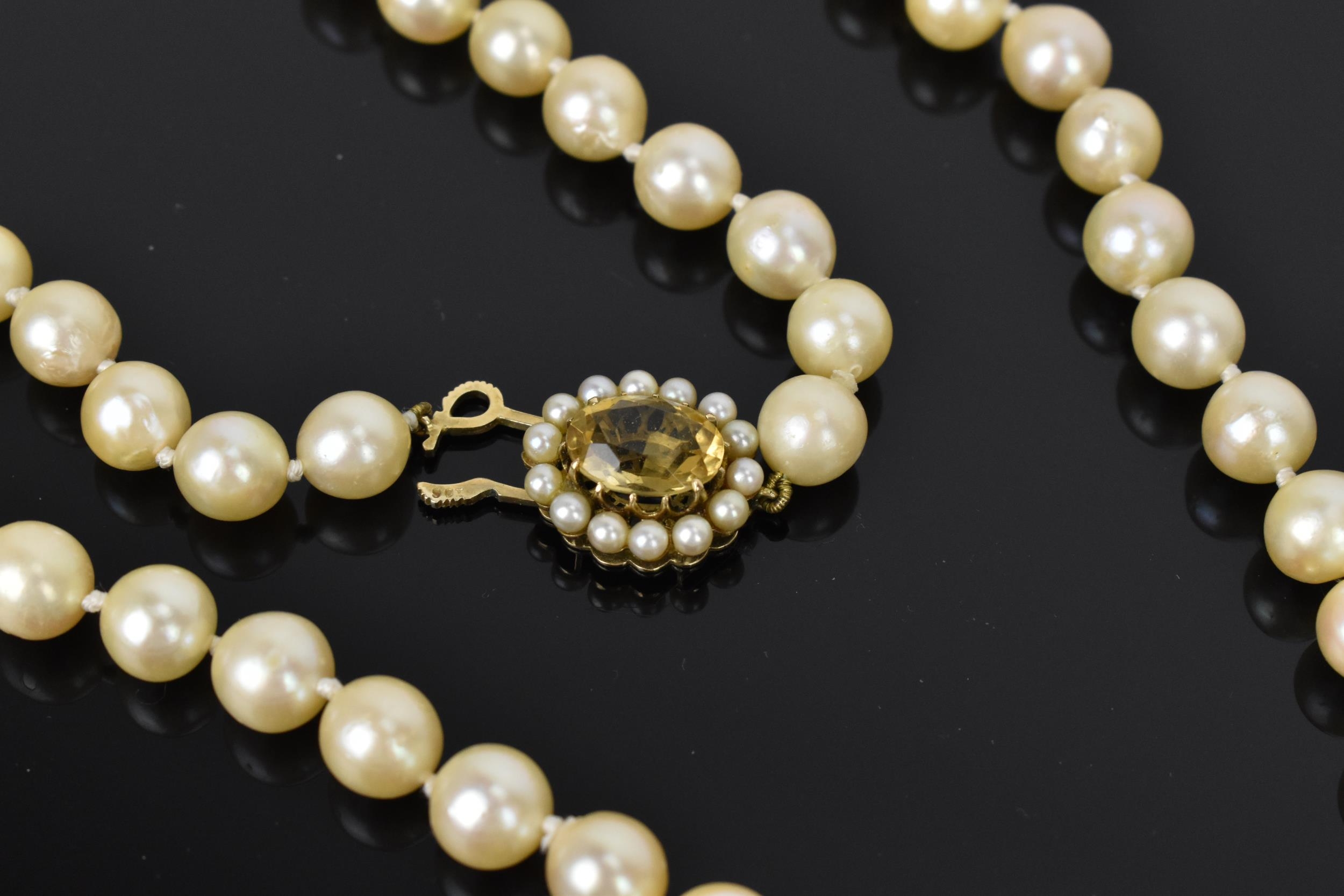 A single strand of cultured white pearls, with 9ct yellow gold, seed pearl and oval cut citrine - Image 6 of 6