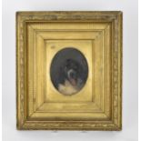 Circle of Edwin Landseer, 19th century, portrait of a spaniel, oil on card, within a moulded gilt-