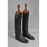 A Pair of Vintage Gentlemans Black Leather Riding Boots Complete with Wooden Trees. 29cms Long Foot,