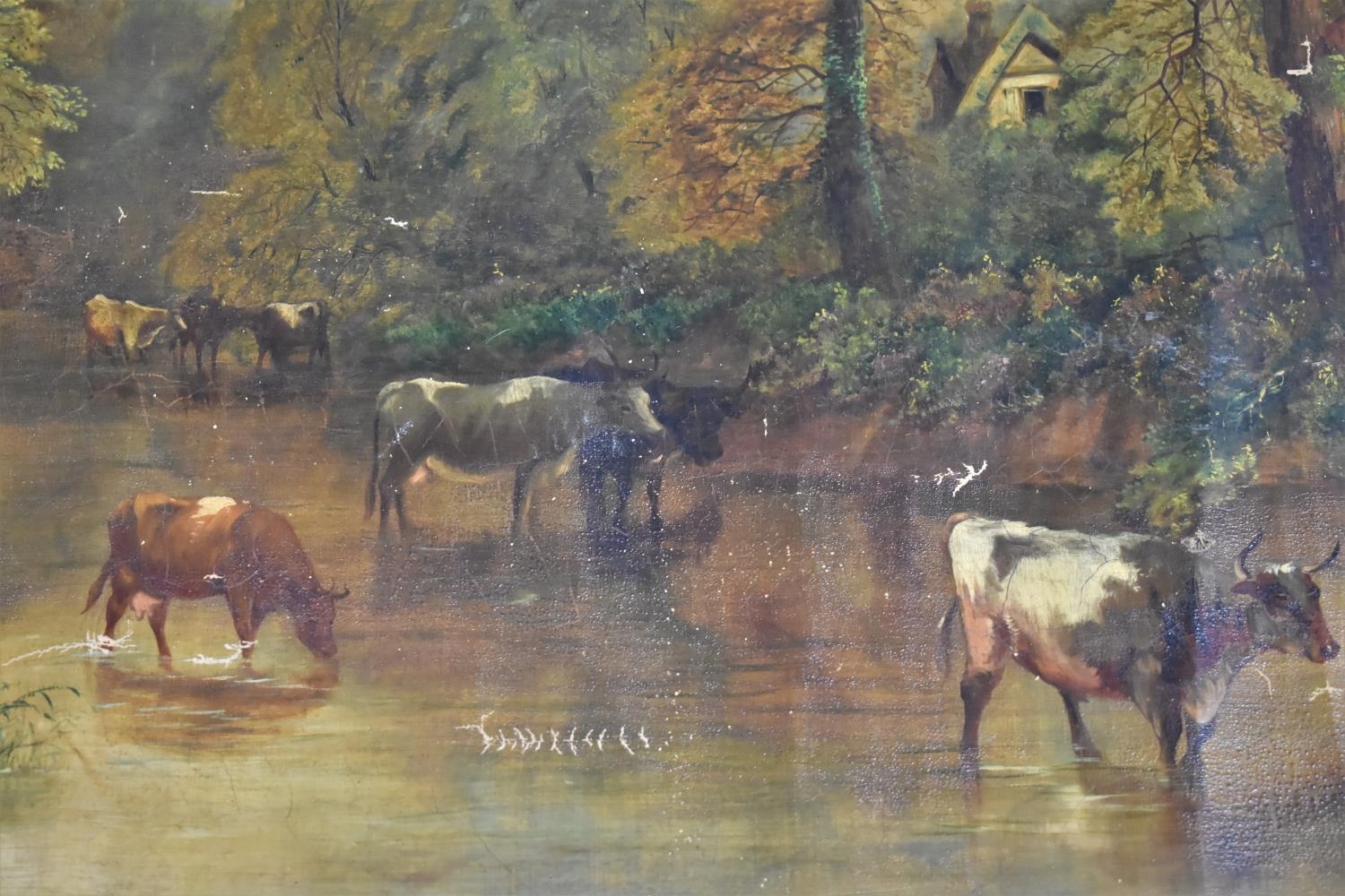 An Unmounted Oil on Canvas Depicting Cattle Grazing, 100x67cms - Bild 2 aus 2