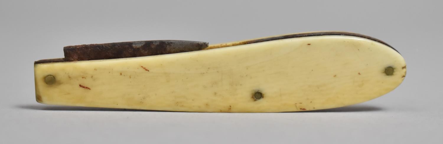 A 19th Century Sailors Scrimshaw Penknife, Blade AF, Handle Measuring 7.5cms Long and with - Bild 2 aus 3