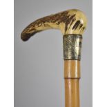 A Victorian Silver Mounted Bone Handled Riding Crop, with Faux Bamboo Shaft, Hallmarked Birmingham