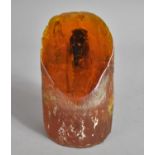 A Modern Plastic Novelty Paperweight in the Form of a Large Bug Encased in Faux Amber, 12.5cm high