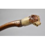 A Vintage Rustic Walking stick with Carved Dogs Handle, 90cm Long