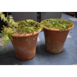 Two Terracotta Planters, 42cm Diameter