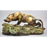 A Large 1950's Plaster Study of Panther and Snake, "Striking", 52cm Long